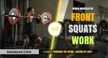 Front Squats: Target Muscles and Full-Body Strength Benefits Revealed