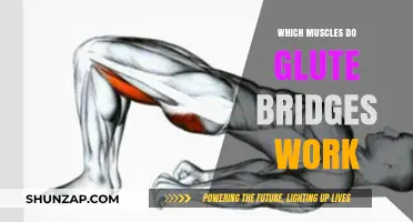 Glute Bridges: Target Muscles and Benefits for Stronger Lower Body