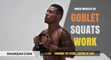 Goblet Squats: Target Muscles and Benefits for Lower Body Strength