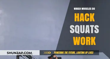 Muscles Targeted by Hack Squats: A Comprehensive Breakdown