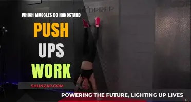 Handstand Push-Ups: Targeted Muscles and Full-Body Strength Benefits