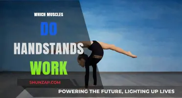 Handstands: Unlocking Strength in Shoulders, Core, and Upper Body Muscles