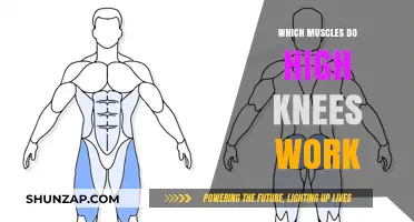 High Knees: Target Muscles and Benefits for Lower Body Strength