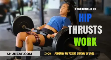 Hip Thrusts: Targeting Glutes, Hamstrings, and Core Muscles Effectively