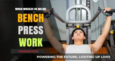 Incline Bench Press: Target Muscles and Strength Benefits Explained