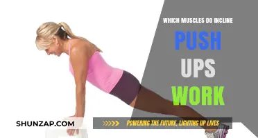 Incline Push-Ups: Targeted Muscles and Benefits for Upper Body Strength