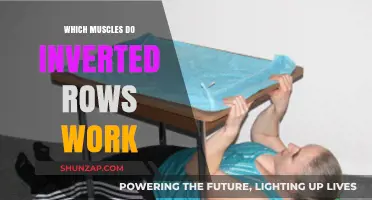 Inverted Rows: Target Muscles and Benefits for Strength Training