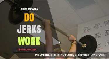 Muscles Targeted by Jerks: Unveiling the Surprising Workout Benefits