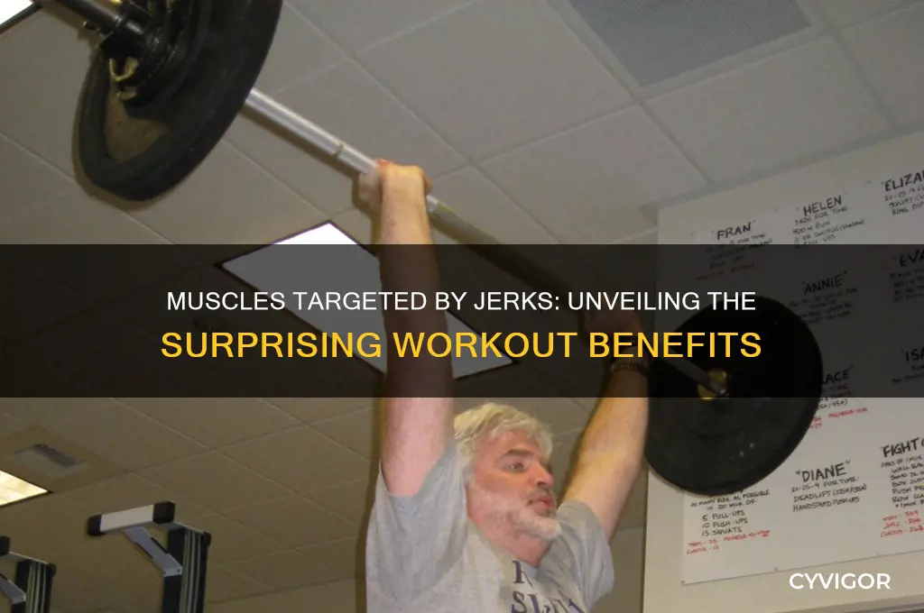 which muscles do jerks work