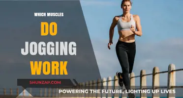 Jogging's Muscle Benefits: Which Muscles Does Jogging Work?