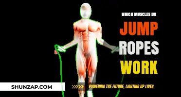 Jump Rope Muscles: Unlocking Full-Body Benefits with Every Skip