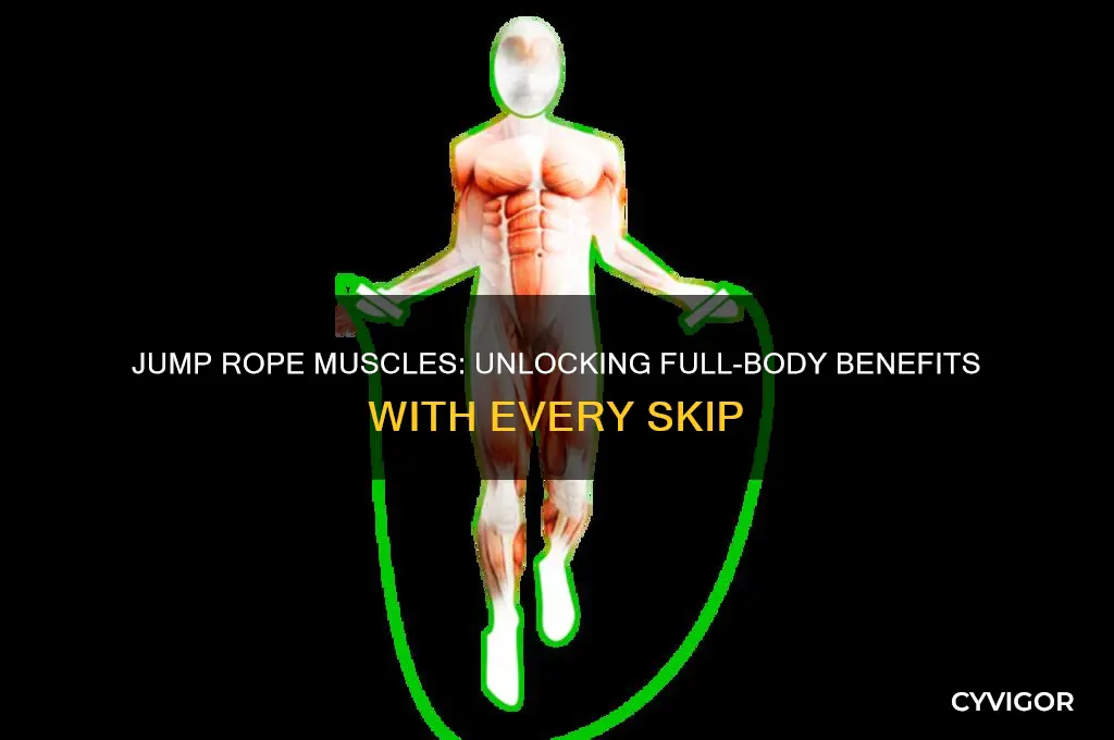 which muscles do jump ropes work