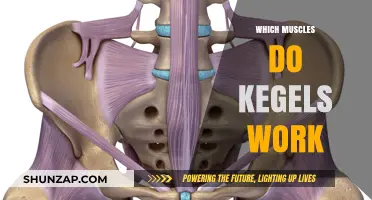 Kegels: Targeting Pelvic Floor Muscles for Strength and Control