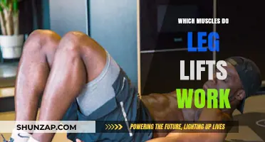 Leg Lifts: Targeted Muscles for Stronger, Toned Lower Body Workouts