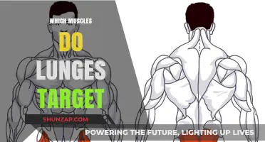 Lunges: Targeting Lower Body Muscles