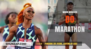 Training for a Marathon: Which Muscles Matter Most?