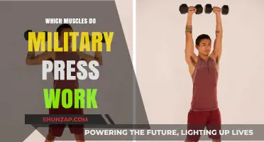 Military Press Muscles: Targeted Upper Body Strength Training Explained