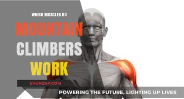 Mountain Climbers: Target Muscles and Full-Body Benefits Explained