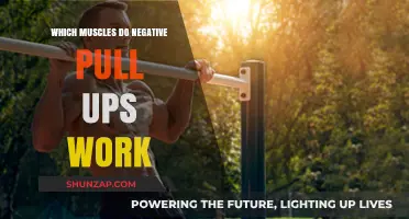 Negative Pull-Ups: Targeted Muscles and Strength-Building Benefits Explained