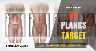 Planks: Targeting Muscles for a Stronger Core