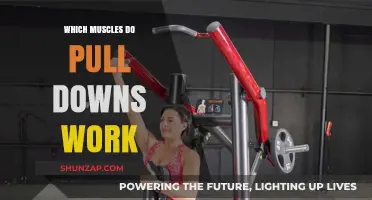 Pull Downs: Targeted Muscles and Benefits for Strength Training