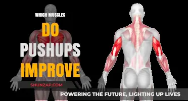Pushups: Building Muscle Strength and Definition