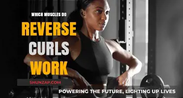 Reverse Curls: Targeted Muscles and Benefits for Stronger Arms