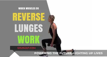Reverse Lunges: Target Muscles and Benefits for Lower Body Strength