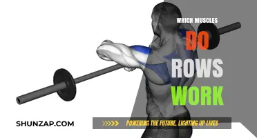 Muscles Targeted by Rows: A Comprehensive Guide to Strength Training