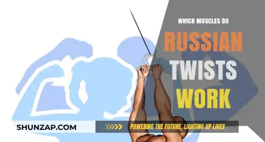 Russian Twists: Targeting Core Muscles for Strength and Stability