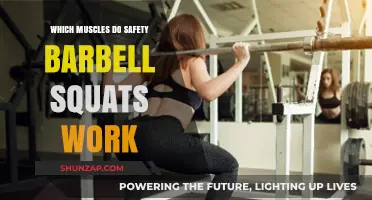 Safety Barbell Squats: Targeted Muscles and Full-Body Benefits Explained