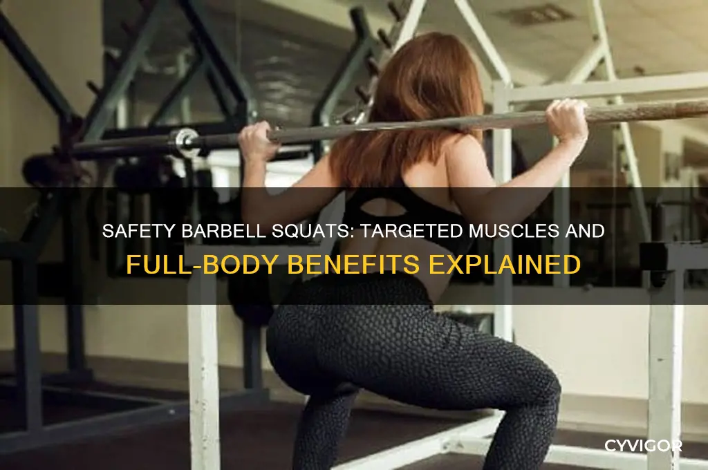 which muscles do safety barbell squats work
