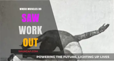 Saw Workout Benefits: Targeted Muscles and Strength Training Explained