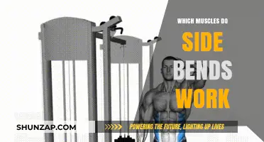 Side Bends: Targeting Core, Obliques, and Spinal Muscles Effectively
