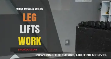 Side Leg Lifts: Targeting Glutes, Hips, and Outer Thigh Muscles