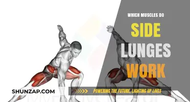 Side Lunges: Targeting Glutes, Quads, and Inner Thigh Muscles Effectively