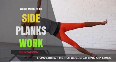 Side Planks: Targeting Core, Obliques, Shoulders, and Glutes Effectively