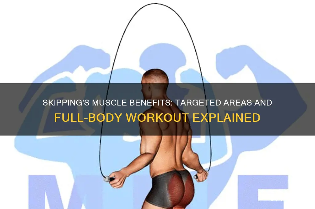 which muscles do skipping work