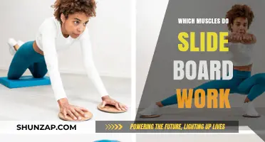 Slide Board Workout: Targeting Key Muscles for Strength and Endurance
