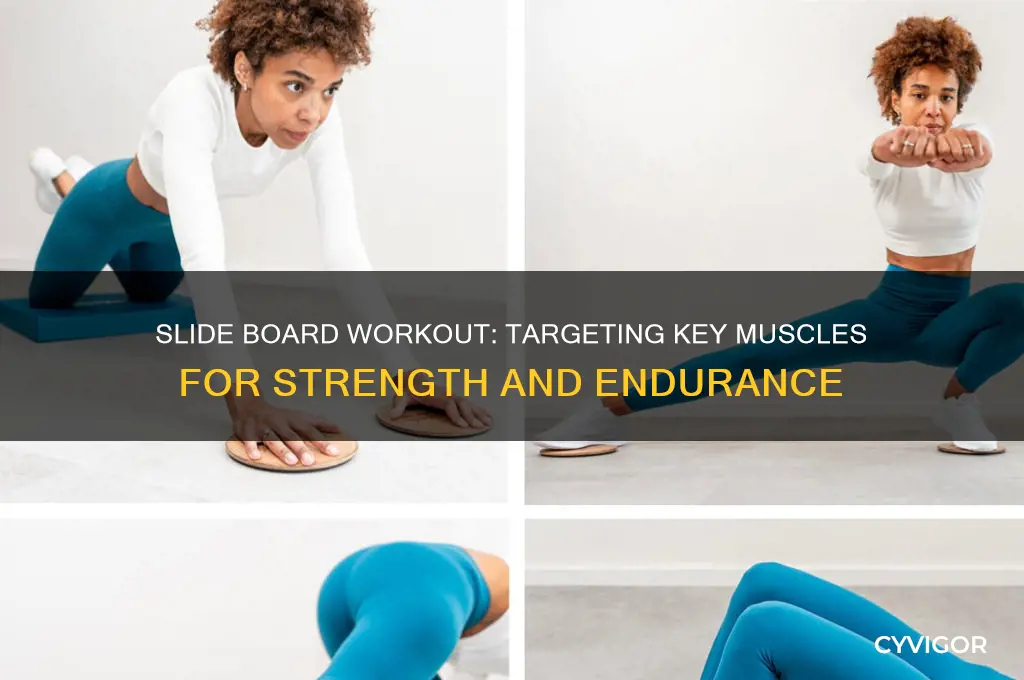 which muscles do slide board work