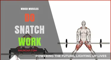 Snatch Workout Muscles: A Comprehensive Guide to Targeted Engagement