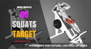 Squats: Targeting the Right Muscles for Strength