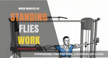 Standing Flies: Targeted Muscles and Benefits for Upper Body Strength