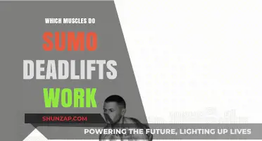 Sumo Deadlifts: Target Muscles and Full-Body Strength Benefits