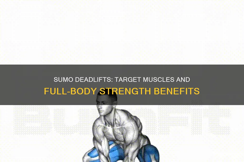 which muscles do sumo deadlifts work