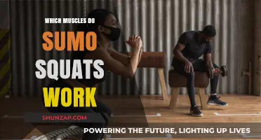 Sumo Squats: Target Muscles and Benefits for Lower Body Strength