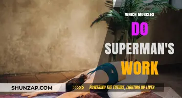 Superman's Workout: Unveiling the Muscles Behind the Iconic Pose