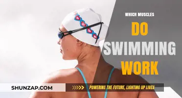 Swimming's Full-Body Benefits: Muscles Engaged in Every Stroke