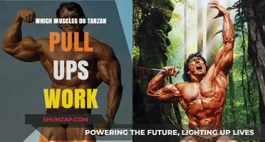 Tarzan Pull-Ups: Targeted Muscles and Full-Body Benefits Explained