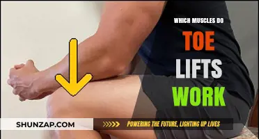 Toe Lifts: Targeted Muscles and Benefits for Stronger Feet